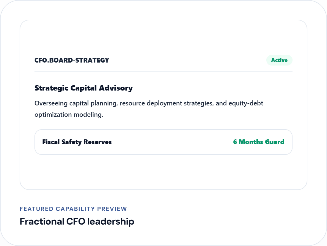 Fractional CFO leadership